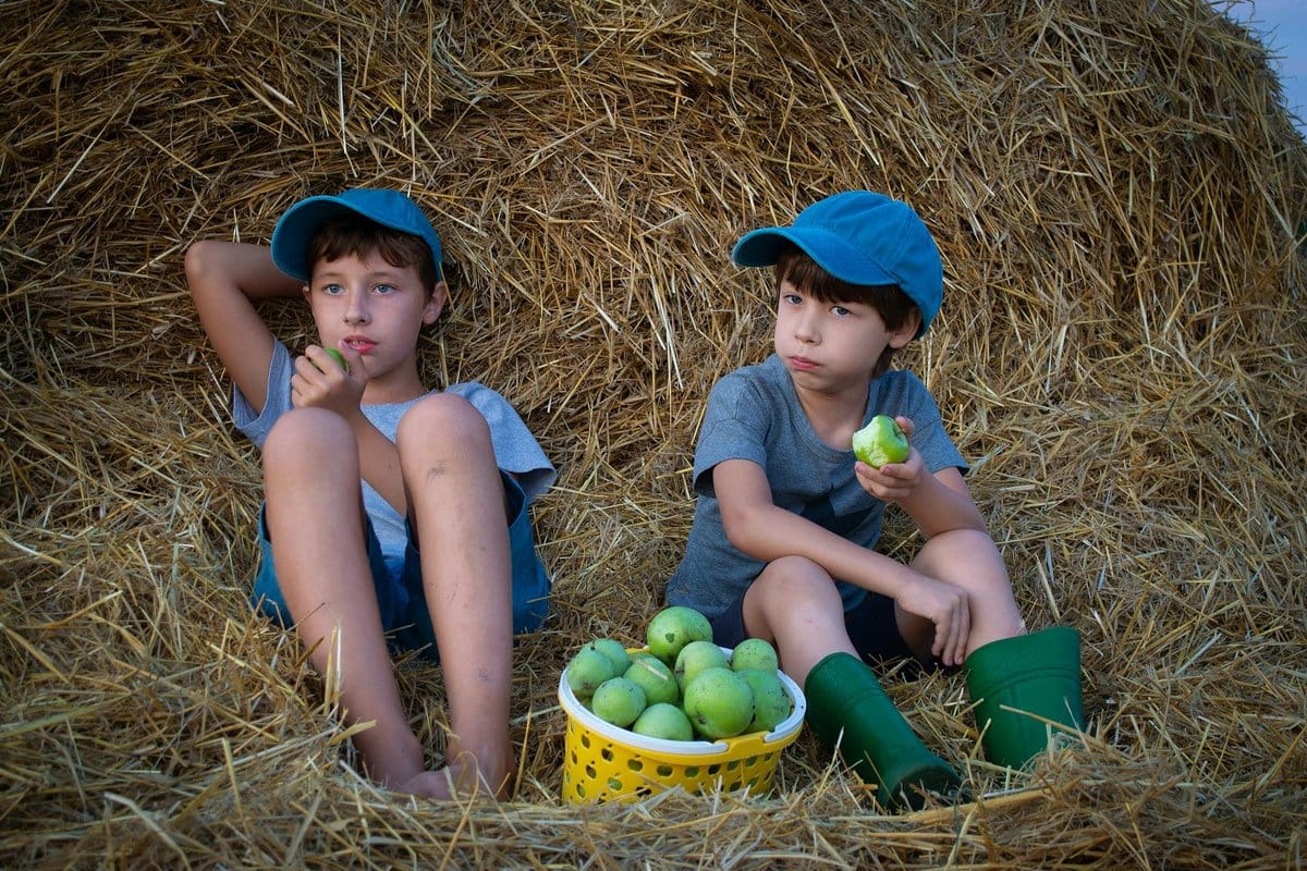 manger une pomme le soir