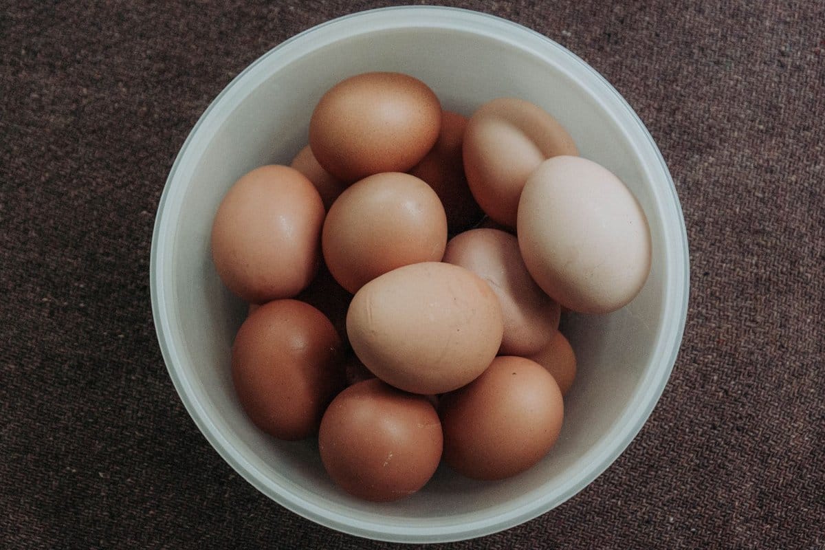 perdre 6 kilos en 3 jours oeufs