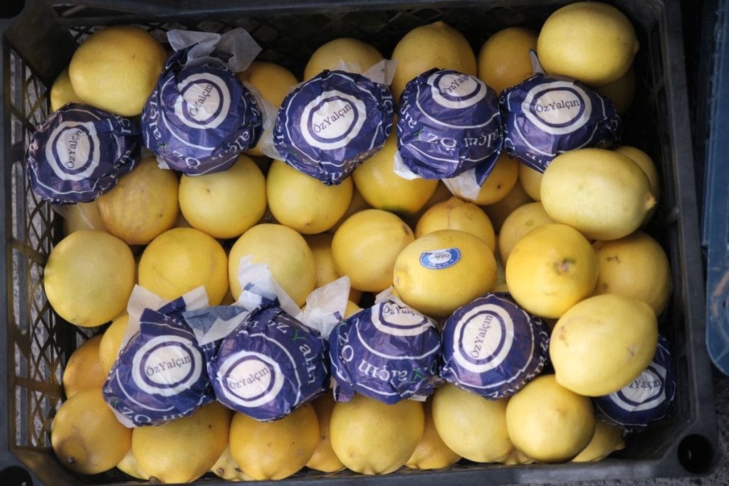 perdre 5kg en une semaine avec le citron