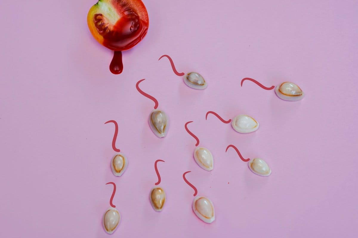 combien de temps le sperm se recharge