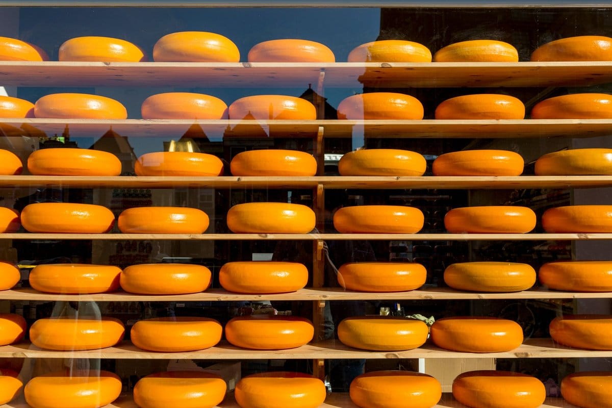 mimolette enceinte