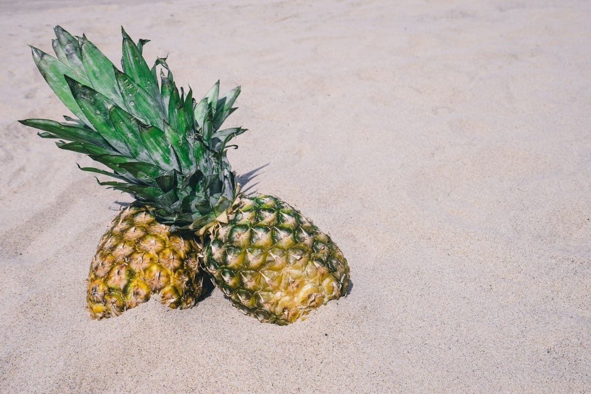 ananas grossesse