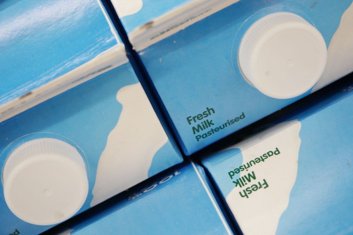 lait pasteurisé femme enceinte
